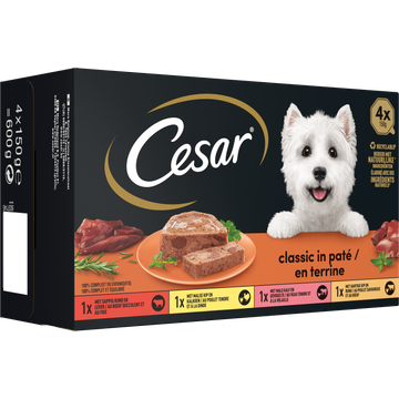 Cesar Classic in Paté 4 x 150 g