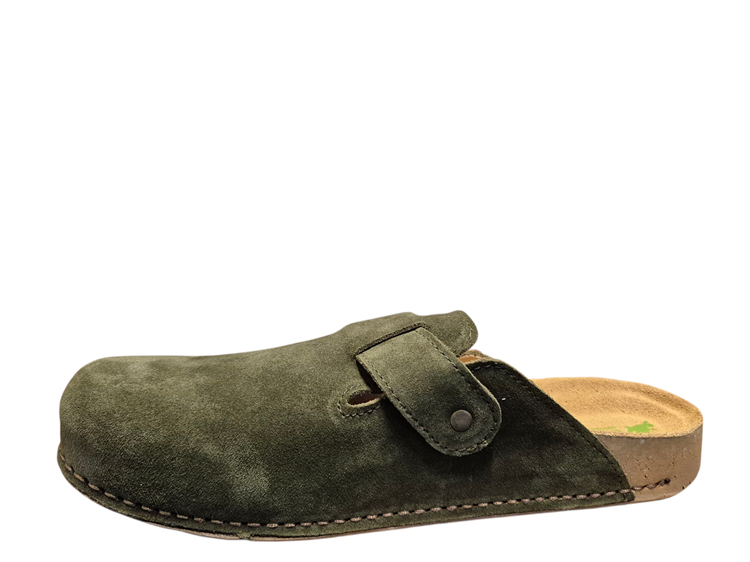 El Naturalista N5796 Forest