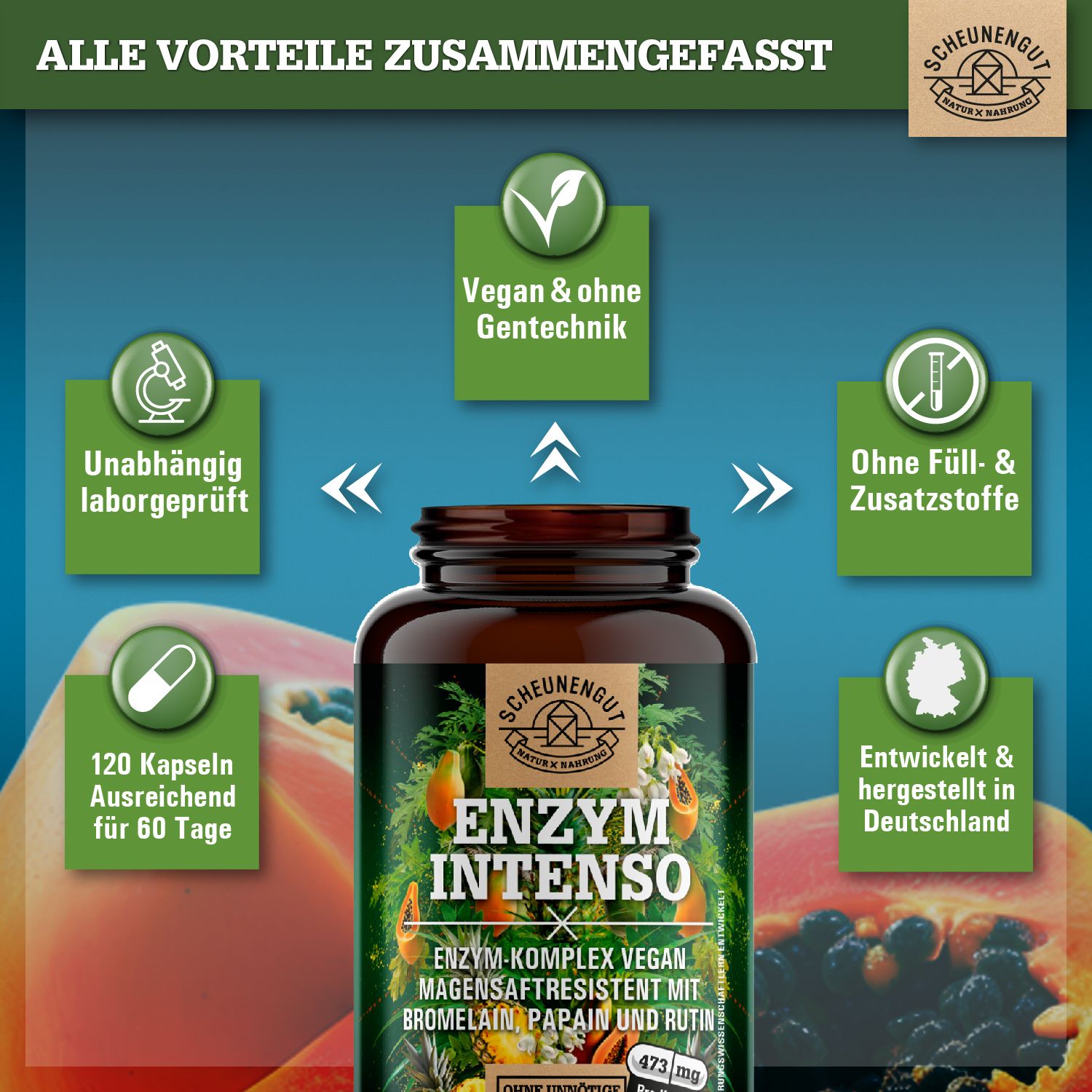 Scheunengut® Enzym Intenso | 2.500 GDU/g Bromelain, 6.000 USP-U/mg Papain PLUS Rutin Komplex