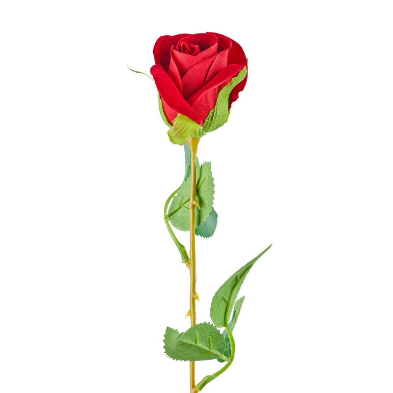 Roos rood - 56 cm.