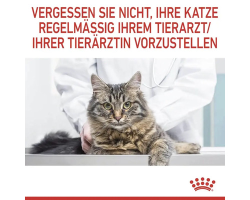Droog kattenvoer, ROYAL CANIN Intense Hairball 34, 10 kg