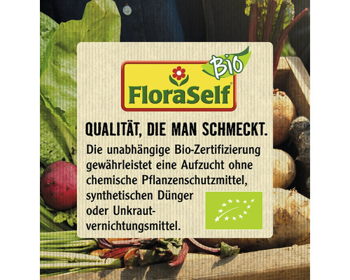 Biologische kruidenset FloraSelf Biologische Groene Saus 6 stuks Ø 12 cm Pot