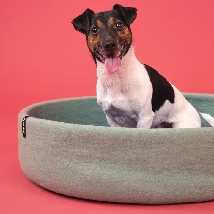myfelt - Fine Hundekorb Ø 40 cm, Inlay rotorange