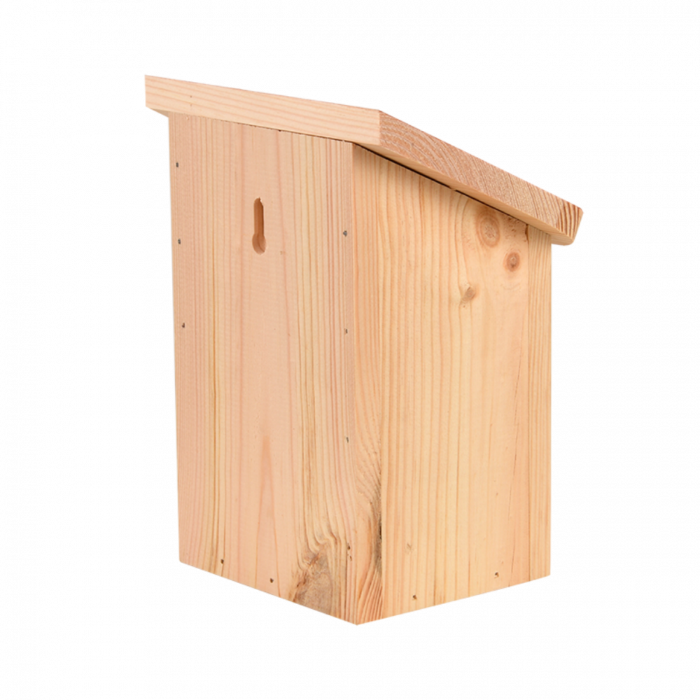 Maison à papillons, avec toit coloré avec silhouette papillon.