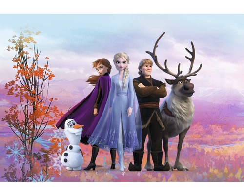 Fotobehangpapier SD4103 Disney Edition 4 Disney Frozen Iconic 8-delige set 368 x 254 cm