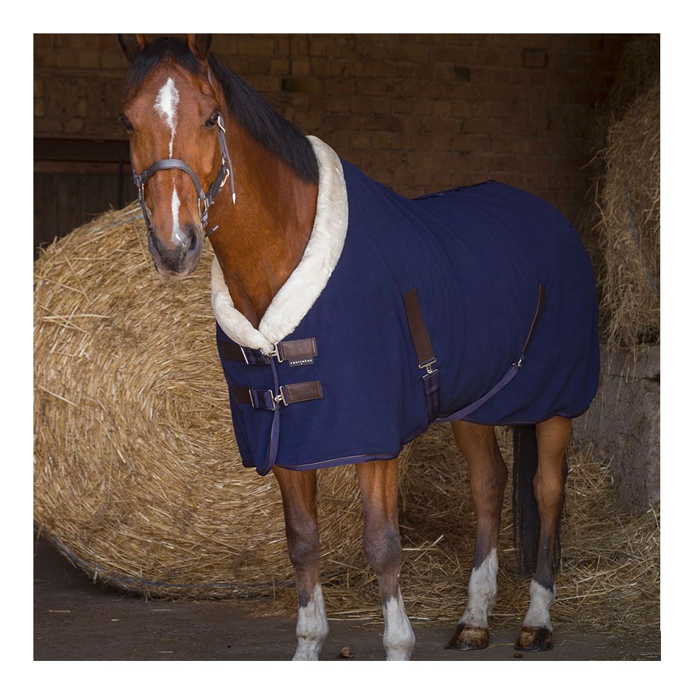Equitheme TEDDY - Chemise polaire marine