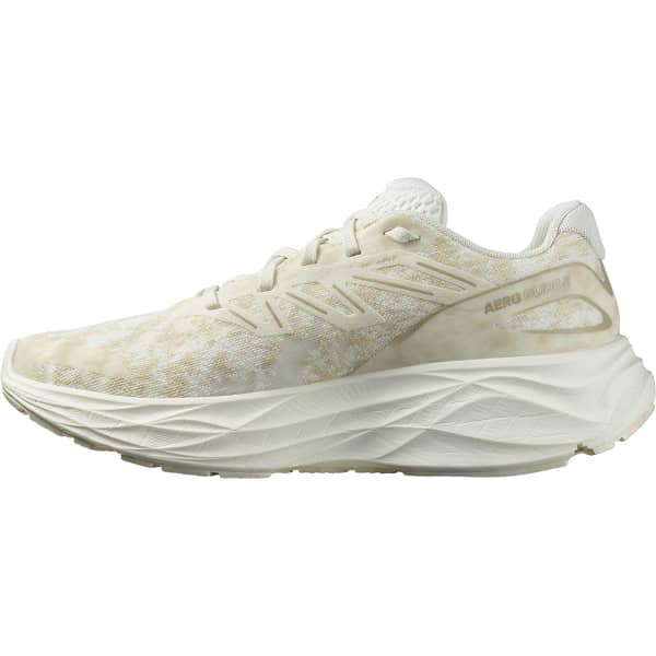 Chaussure running SALOMON AERO GLIDE 2 W VANILA/VANILA/WHT