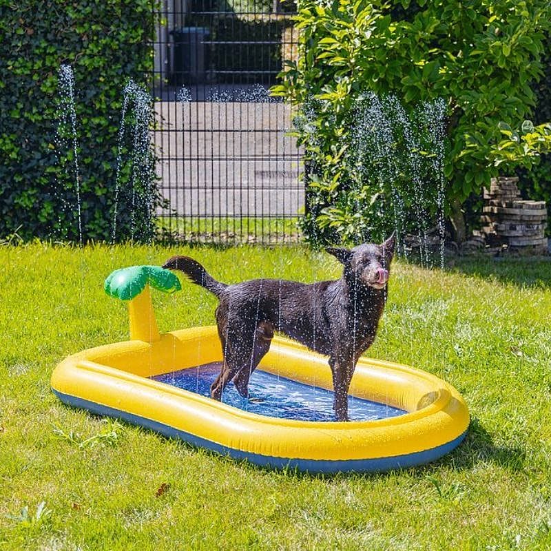 Beeztees Zwembad Palmy Sprinkler | 15795