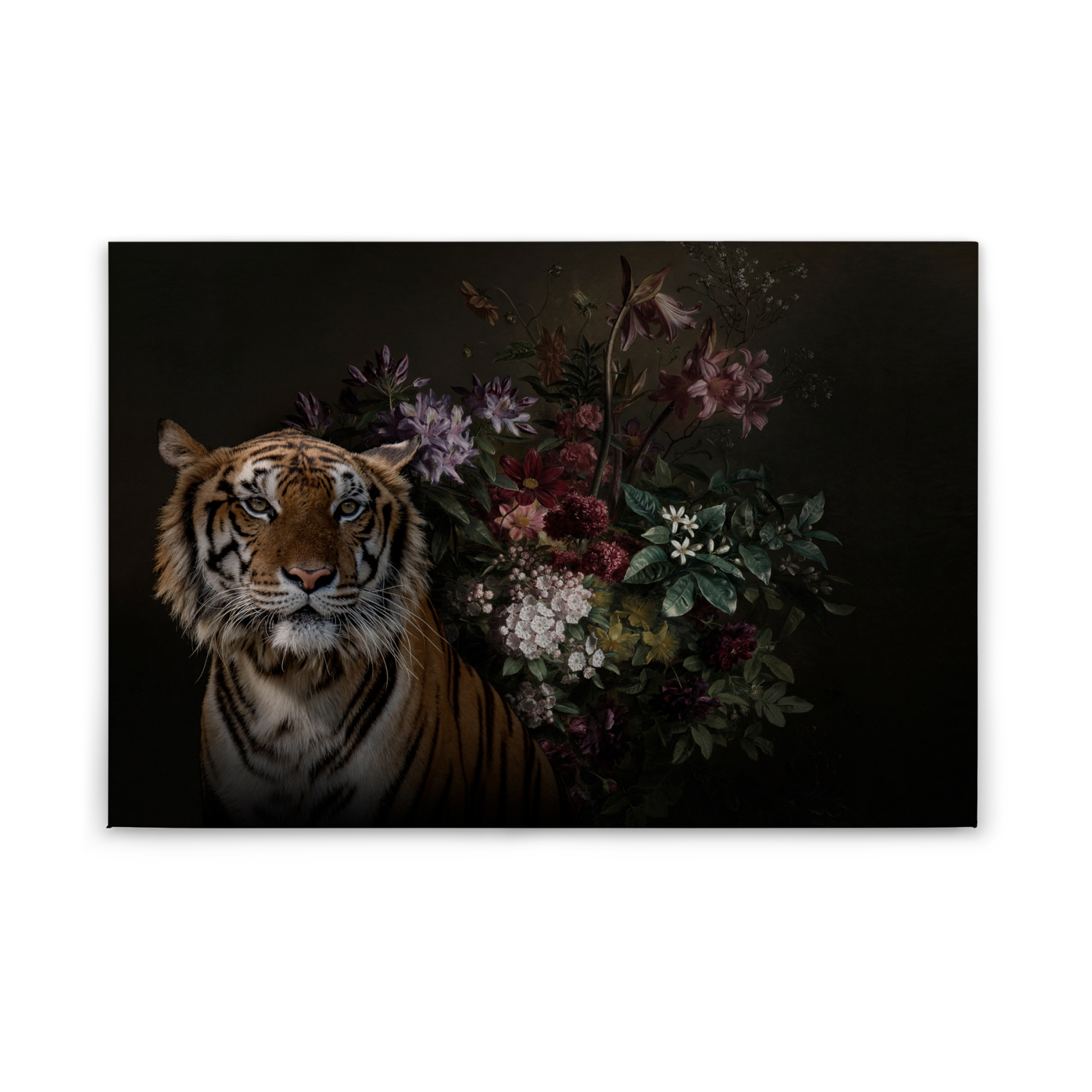 Leinwandbild TIGER - schwarz-orange - 90x60 cm