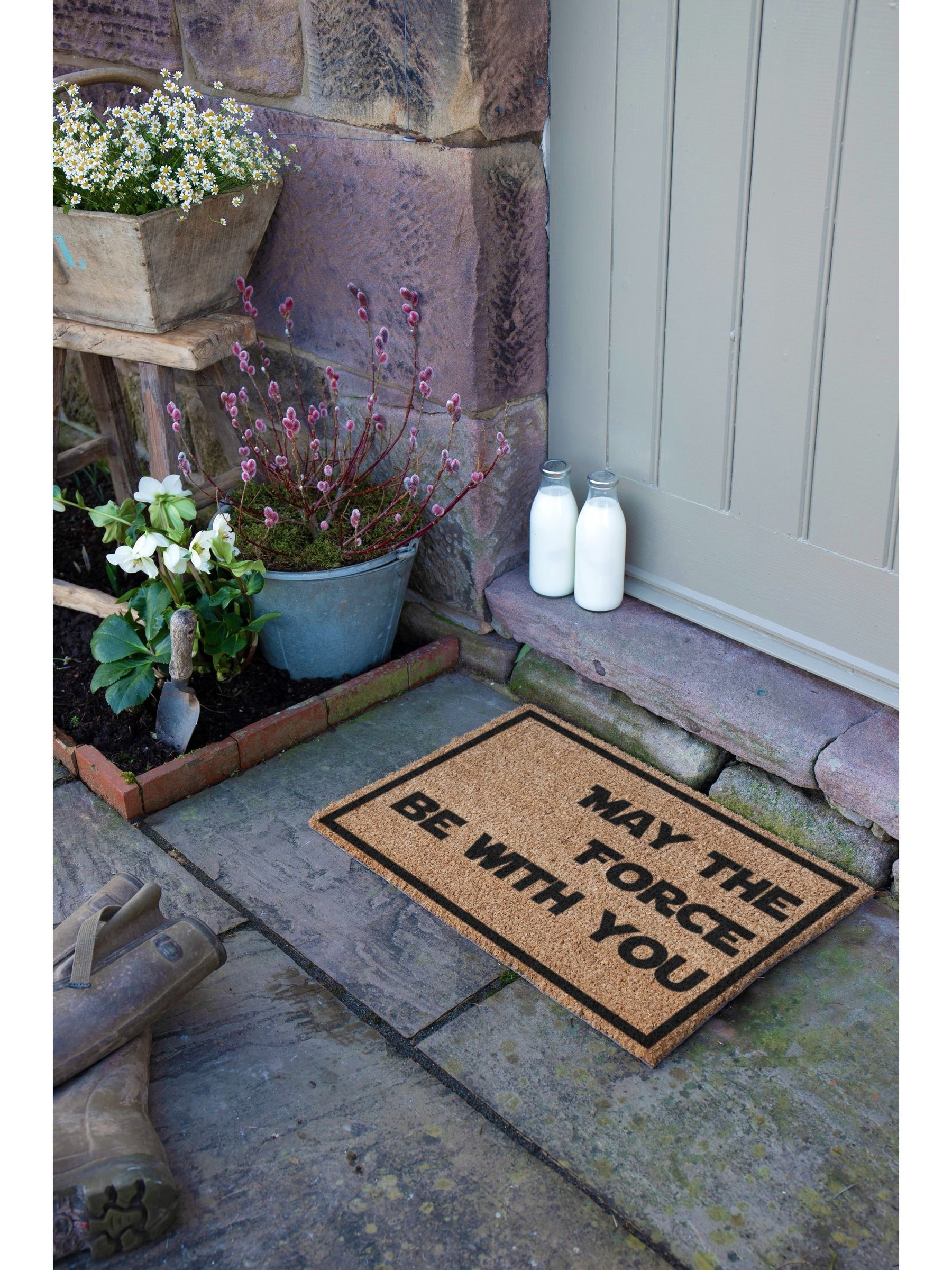 Artsy Mats May The Force Be With You Doormat