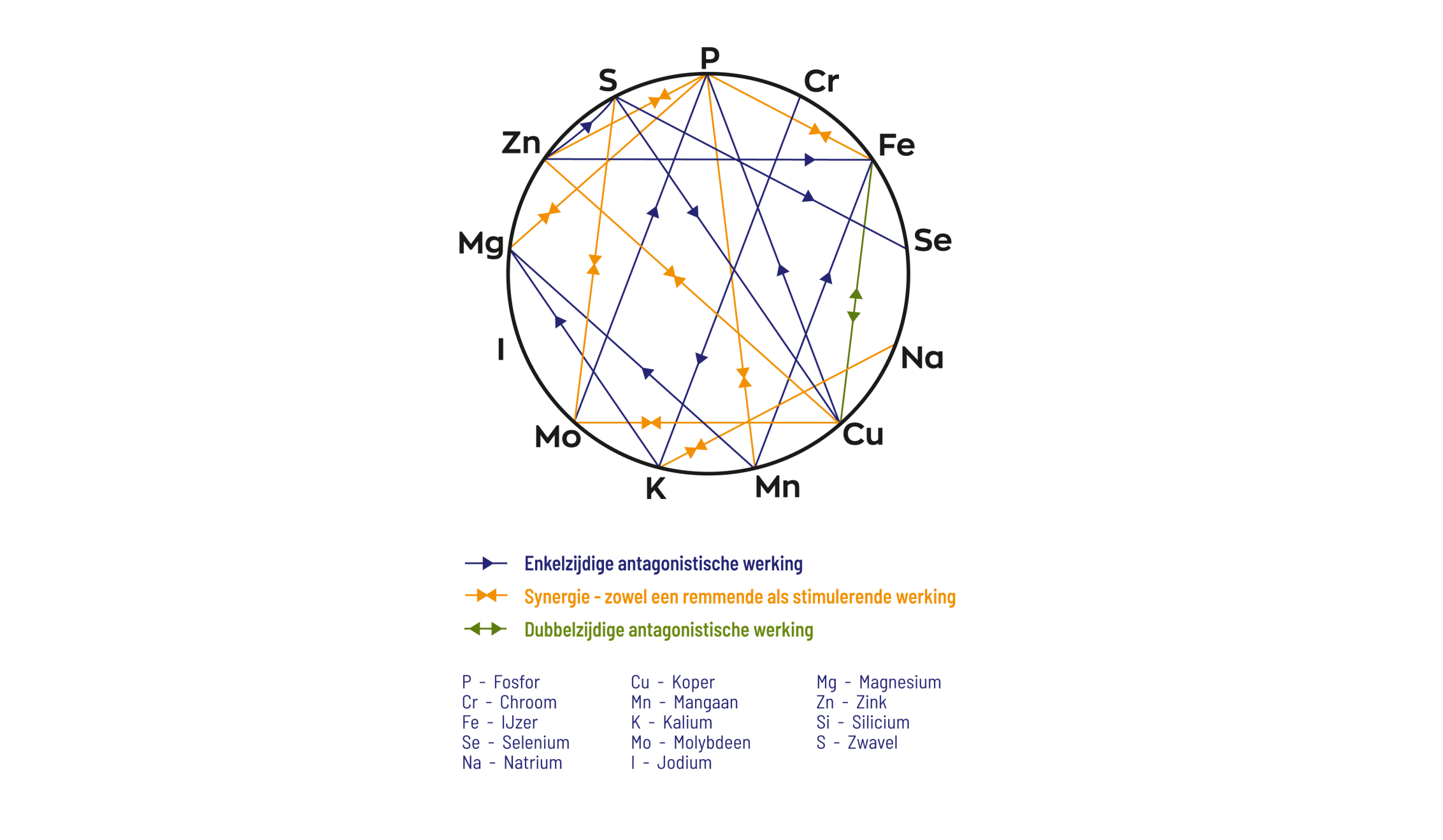 IJzer Bisglycinaat Complex