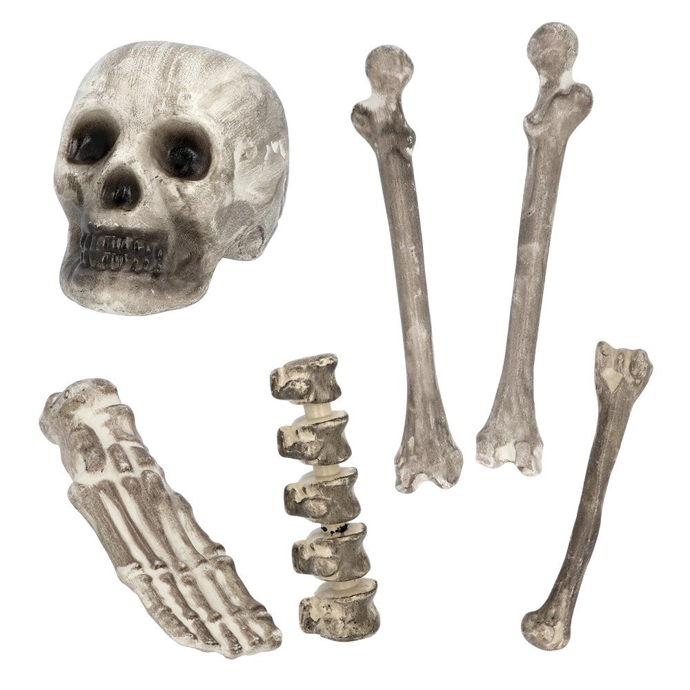 Halloween Skelet 6st