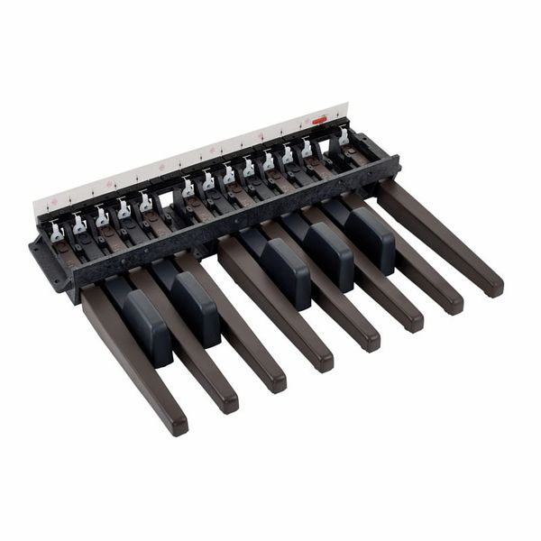 Doepfer MBP25 Electronic with 2 Pedal