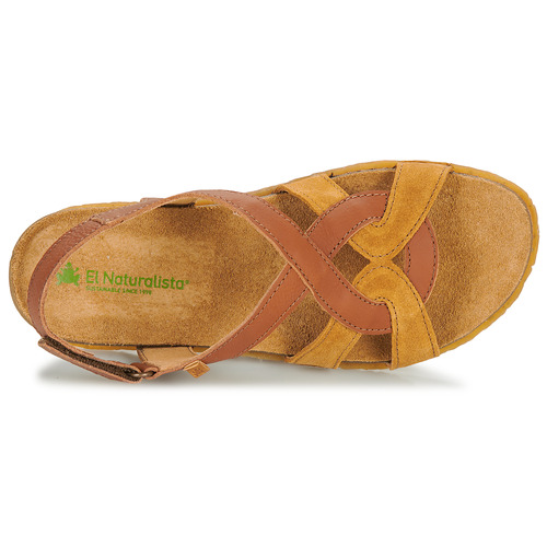 El Naturalista - PANGLAO Marrón