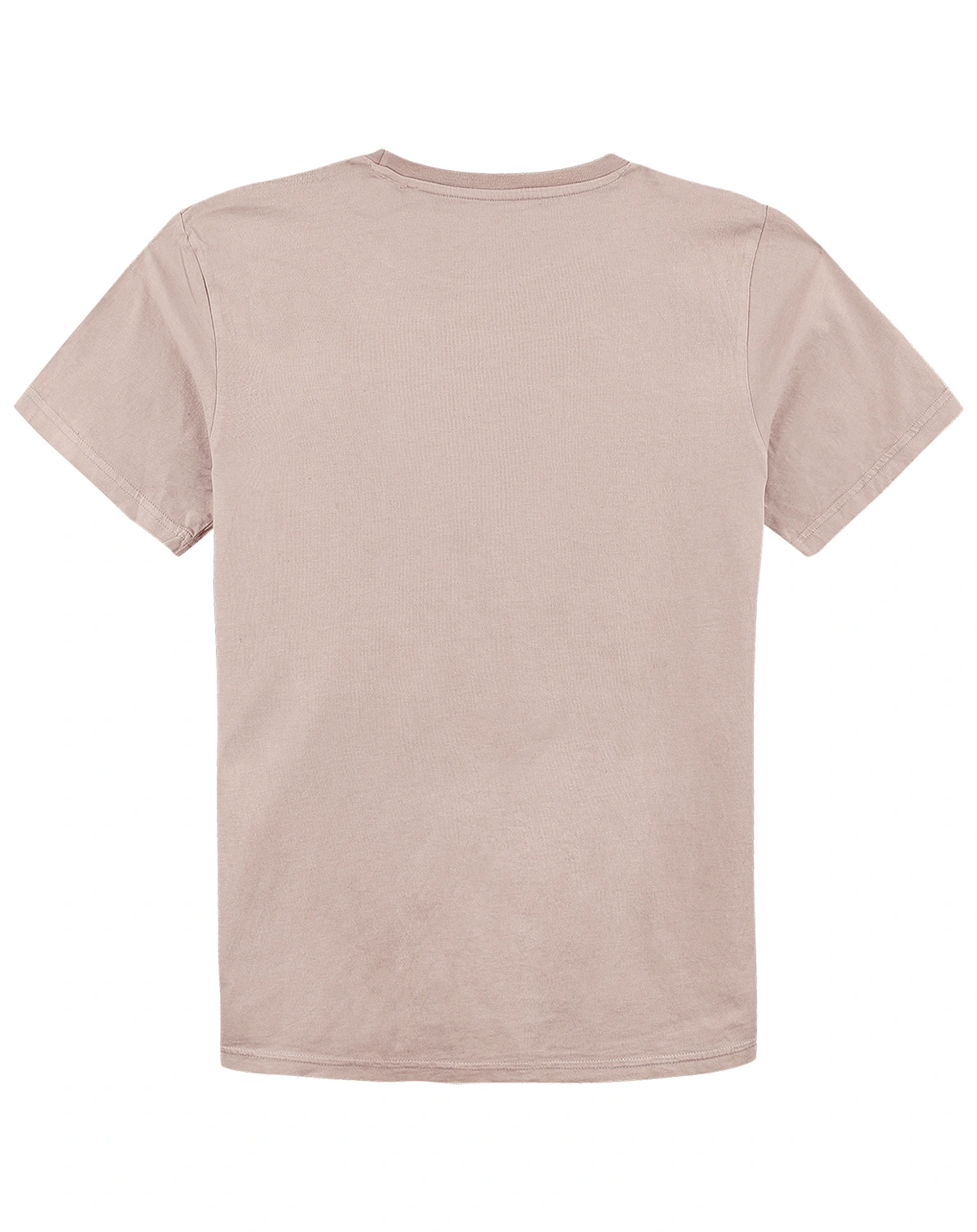 T-Shirt FREUNDE - SCHULE DER MAGISCHEN TIERE in beige