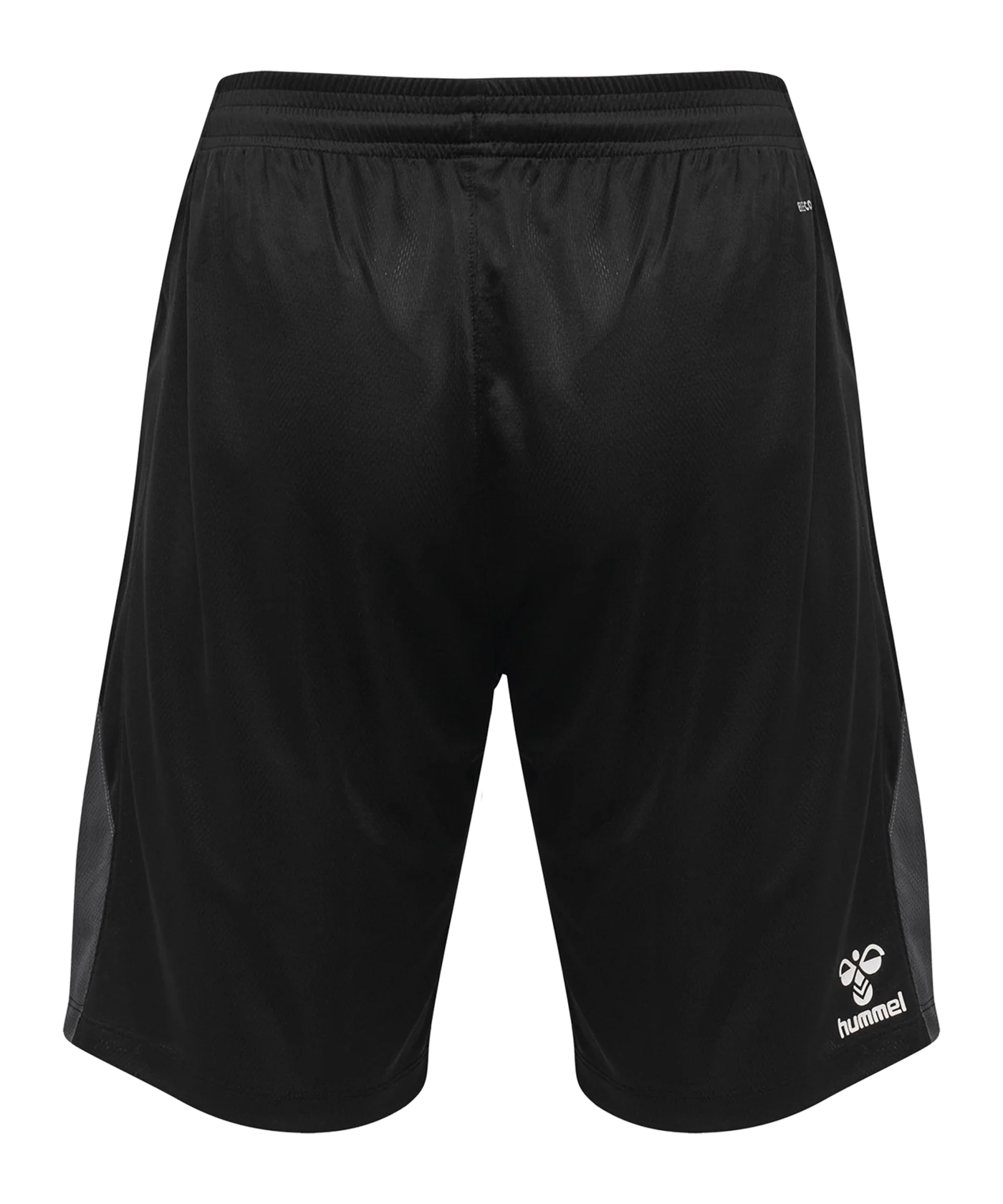 Hummel  hmlLEAD Trainer Short Schwarz F2001
