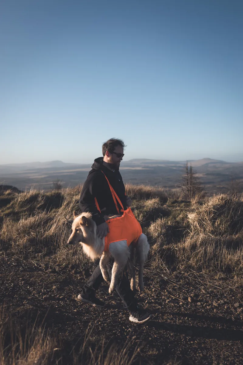 Non-stop Dogwear Dog Rescue Sling Orange