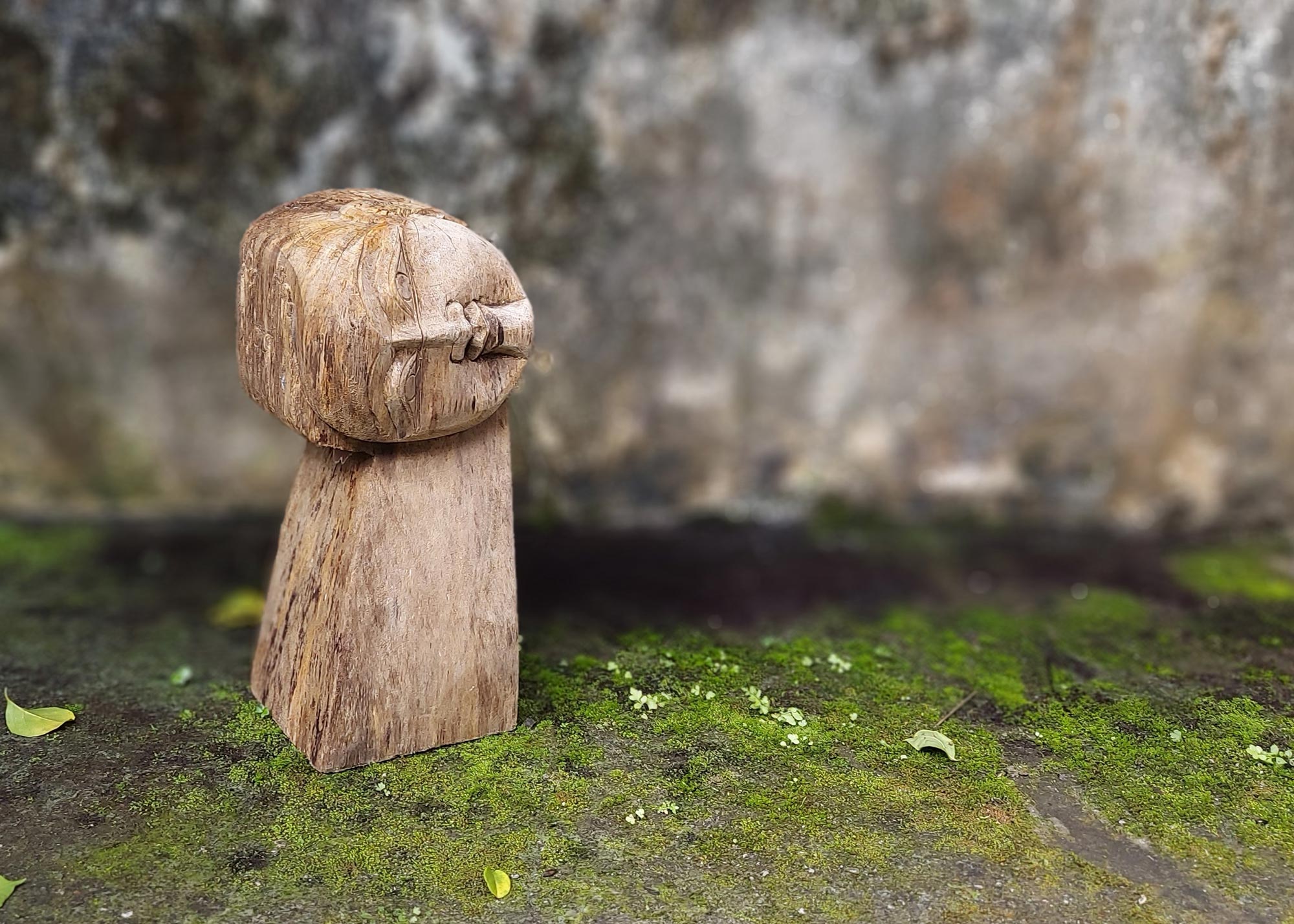 Buchstütze 'Haku' rechts, Massivholz, B 30 cm, H 14 cm, L 12 cm günstig bestellen