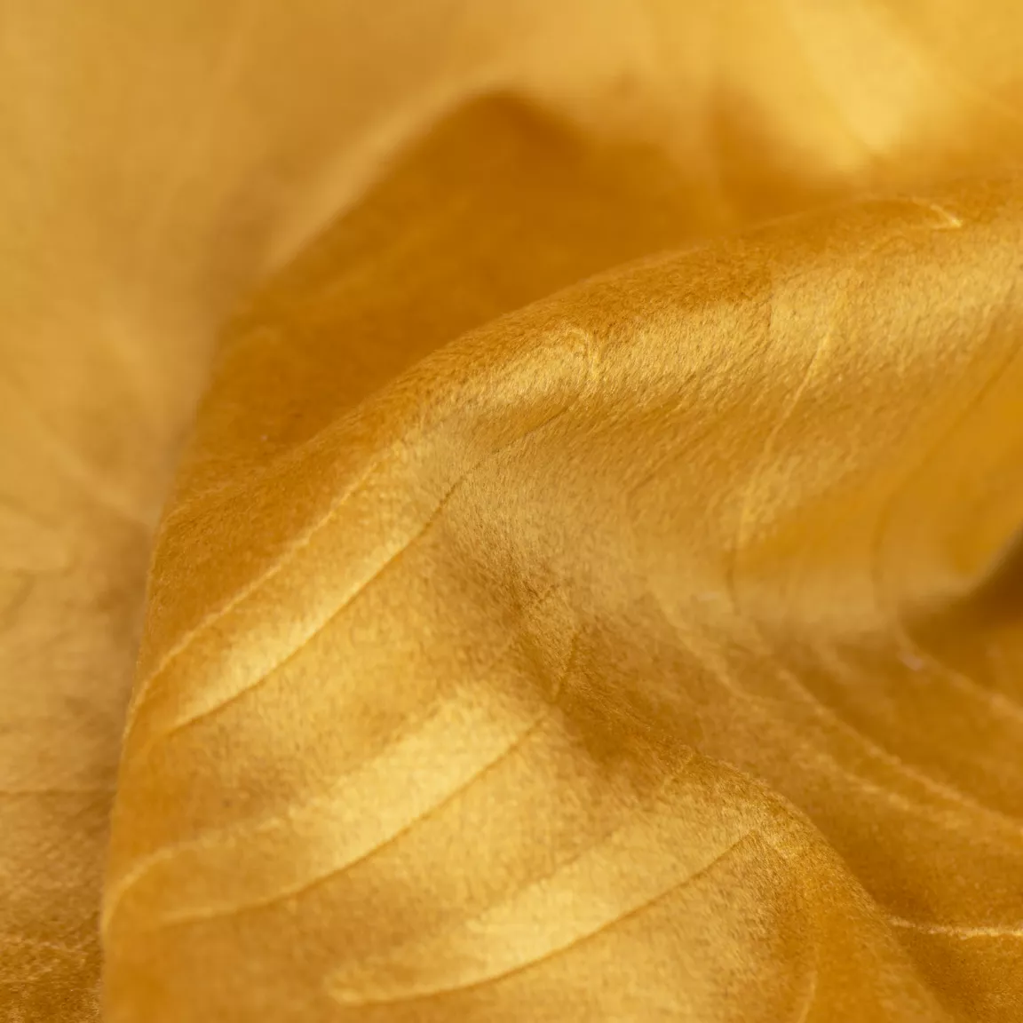 Coussin carré velours (60 x 60 cm) Fern Jaune ocre