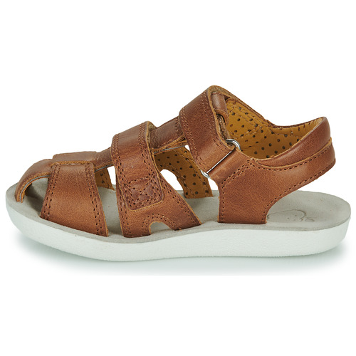 Shoo Pom - GOA NEW SCRATCH - Marron