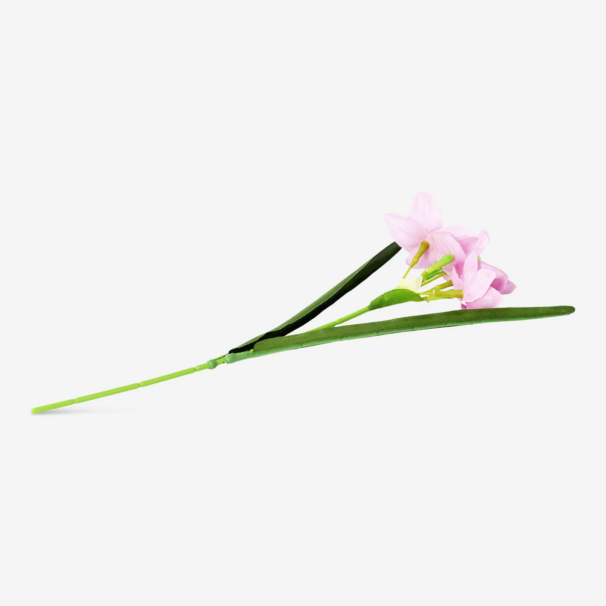 Dekorativ lyserød blomst