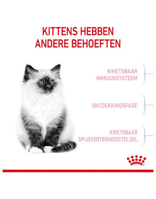 Royal Canin Kitten - Kitten-Kattenvoer