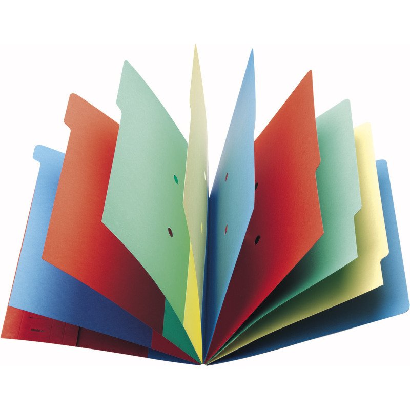 Trieur carte Extendos à fenêtres 9 divisions couleur
