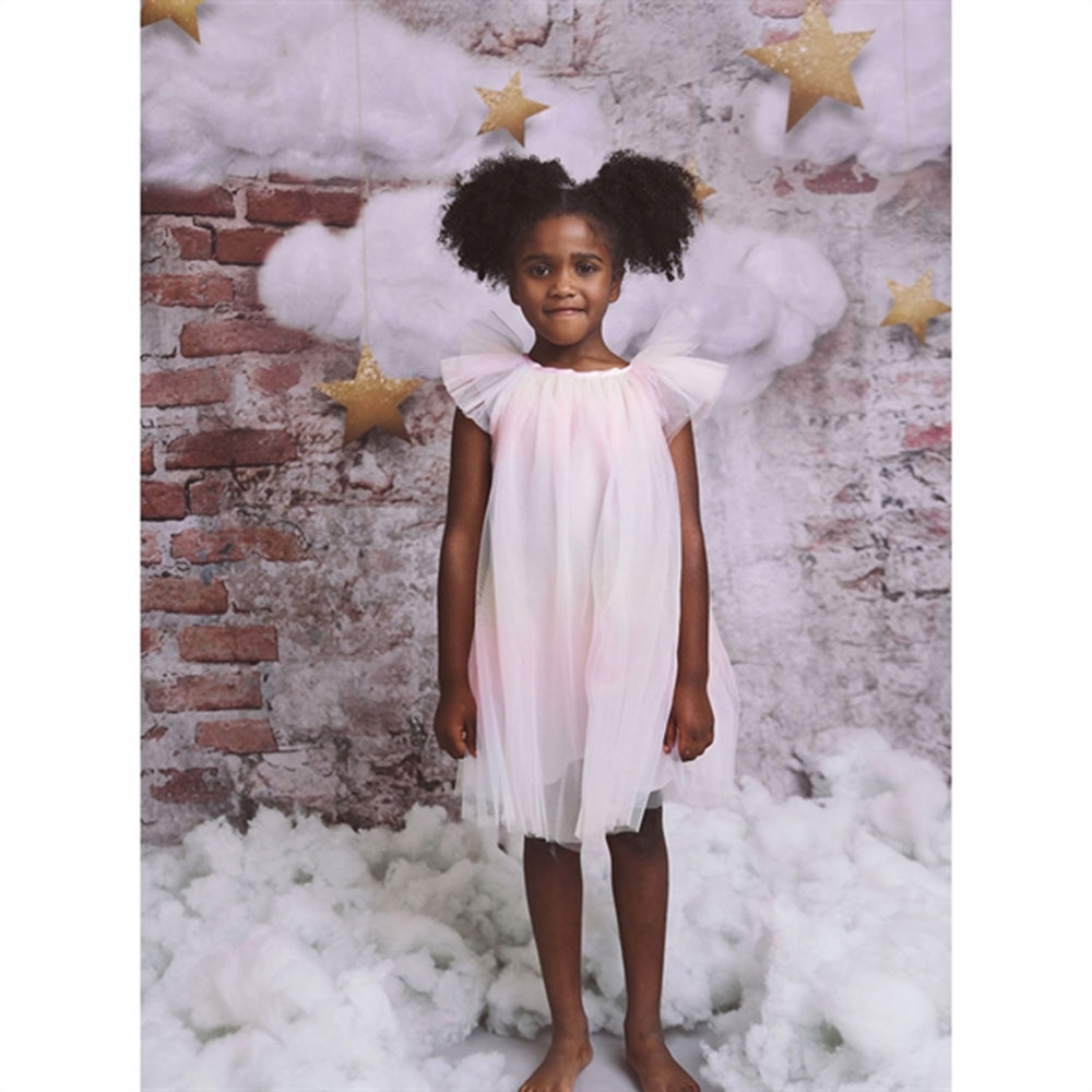 Fairy Tulle Kjole Rainbow