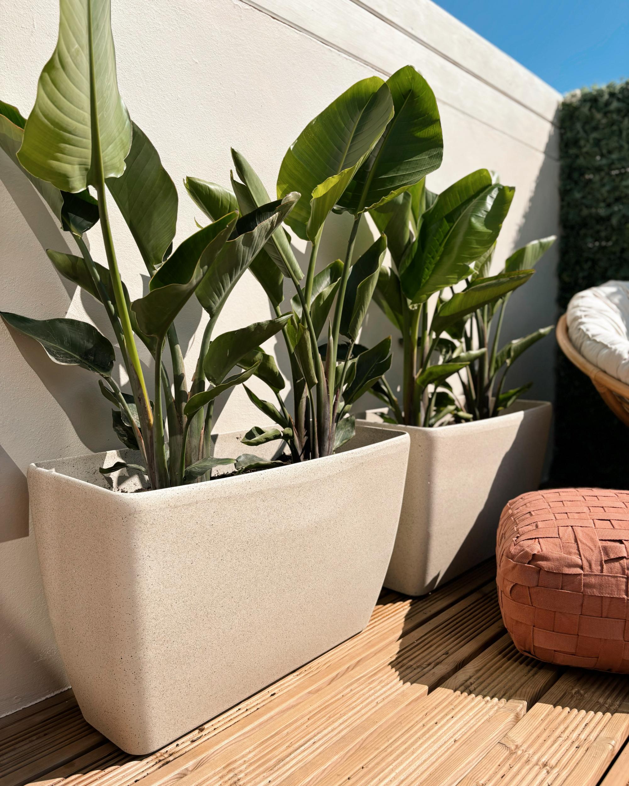 Bloempot BARIS 74 cm Lichtbeige