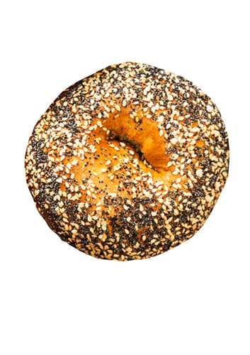 Budapest Bagel Berlin All Everything Bagel