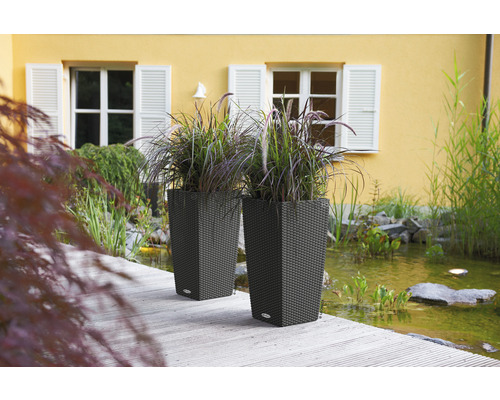 Lechuza Cubico Cottage plantenbak, kunststof, 30 x 30 cm (L x B x H), grijs, inclusief zelfbewateringssysteem en waterniveau-indicator