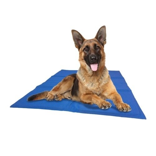 Tapete refrescante azul para cães