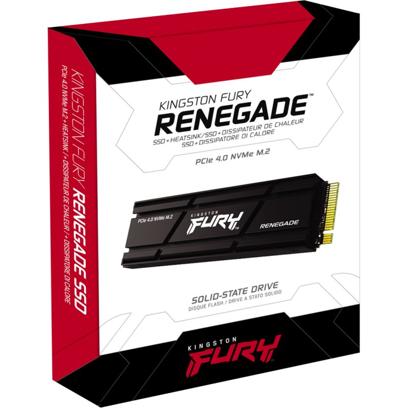 Kingston Technology 1000G RENEGADE PCIe 4.0 NVMe SSD W/ Radiateur de dissipation thermique