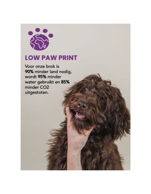 Teds Puppy & Growing Insect Hypoallergeen Insecten - Hondenvoer