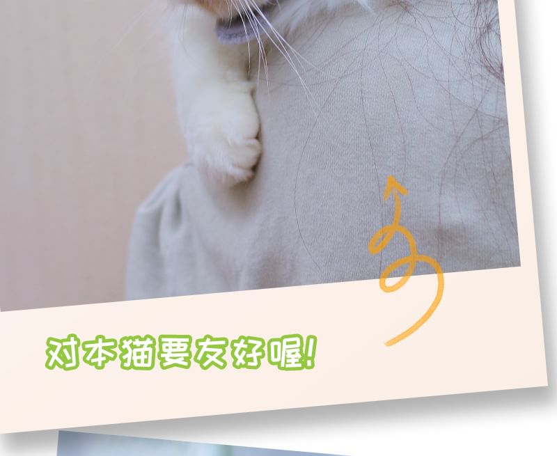 HUGKIS - Tom & Jerry Pet Hat (diverse ontwerpen)