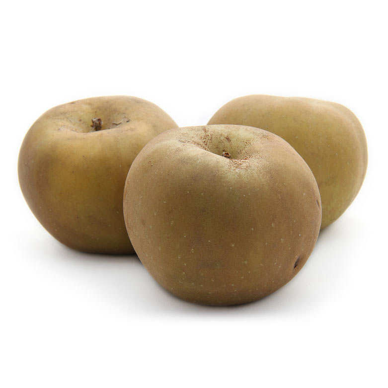 Pommes reinette grise de France bio