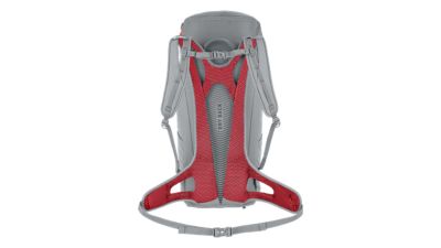 SalewaAlp Mate 24 WS - grau