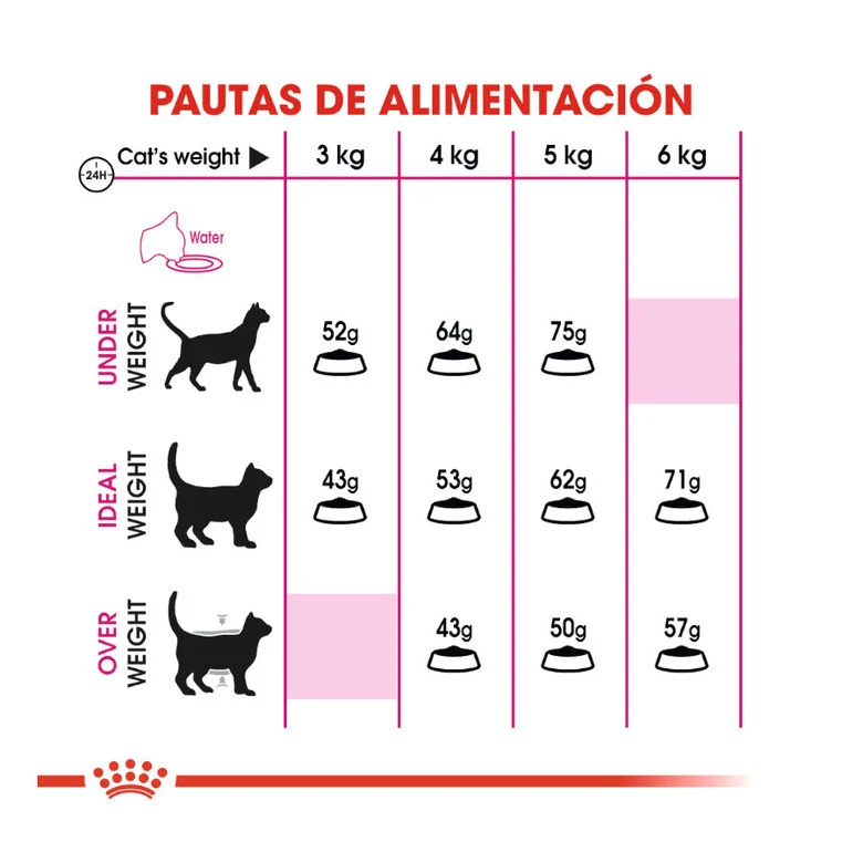 Ração Royal Canin Adult Exigent Protein para gatos