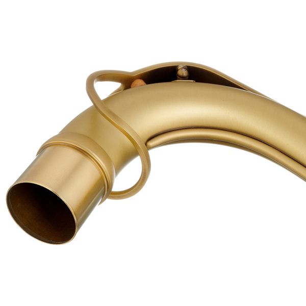 Selmer S-Neck Tenor Signature Patin.