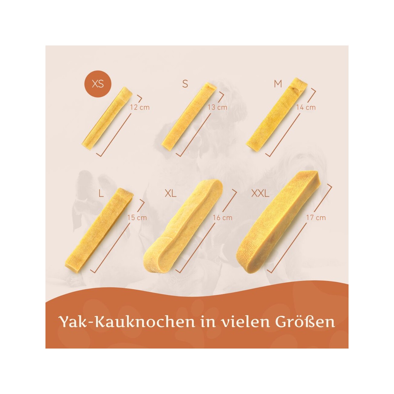 Wildfang Kaukäse - Hartkäse Kaustab 21 g