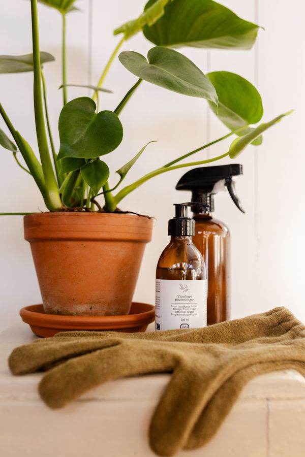 Vloeibare bladreiniger, 200 ml