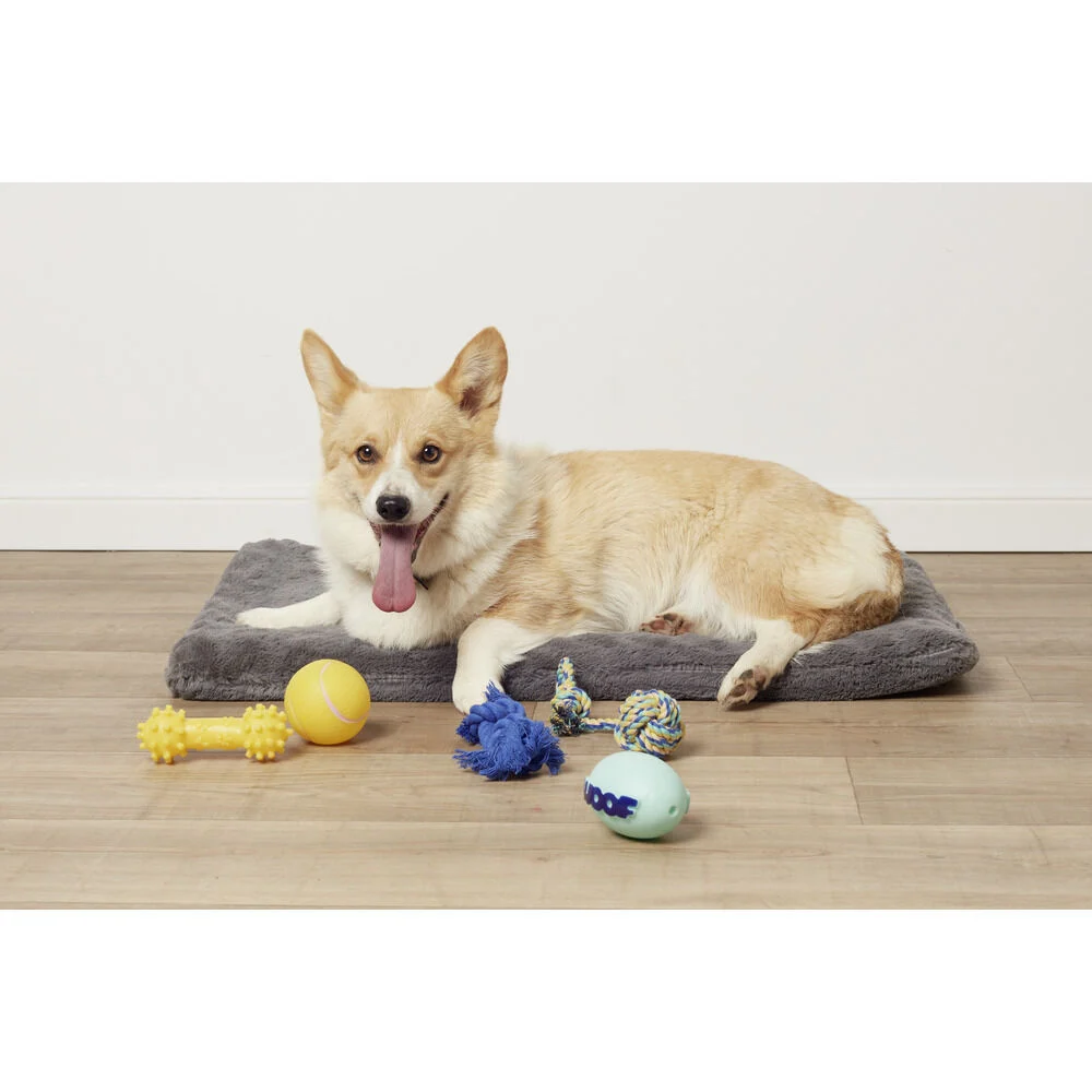 Jouet pour chien x5