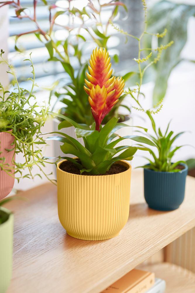 Elho bloempot Vibes geel D 14,1 H 12,9 cm