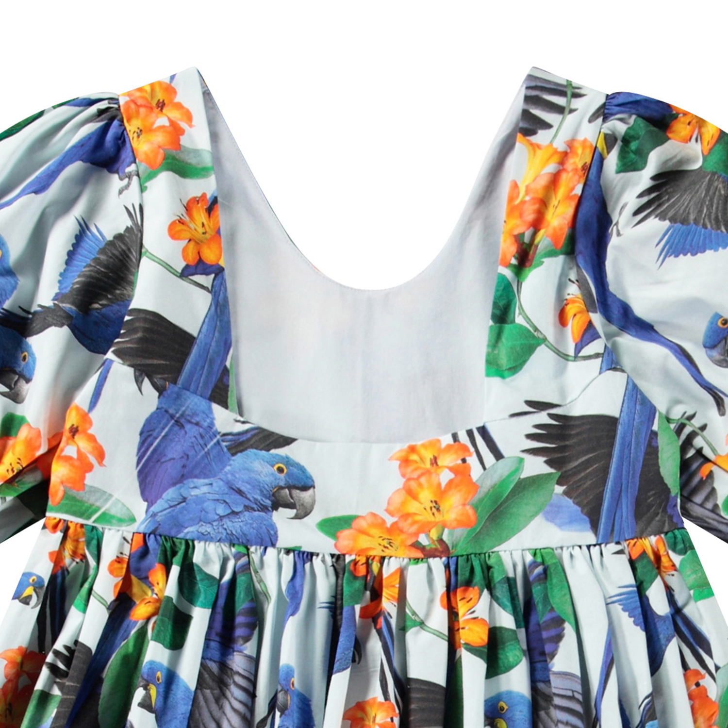 Camilo - Macaws Blue
