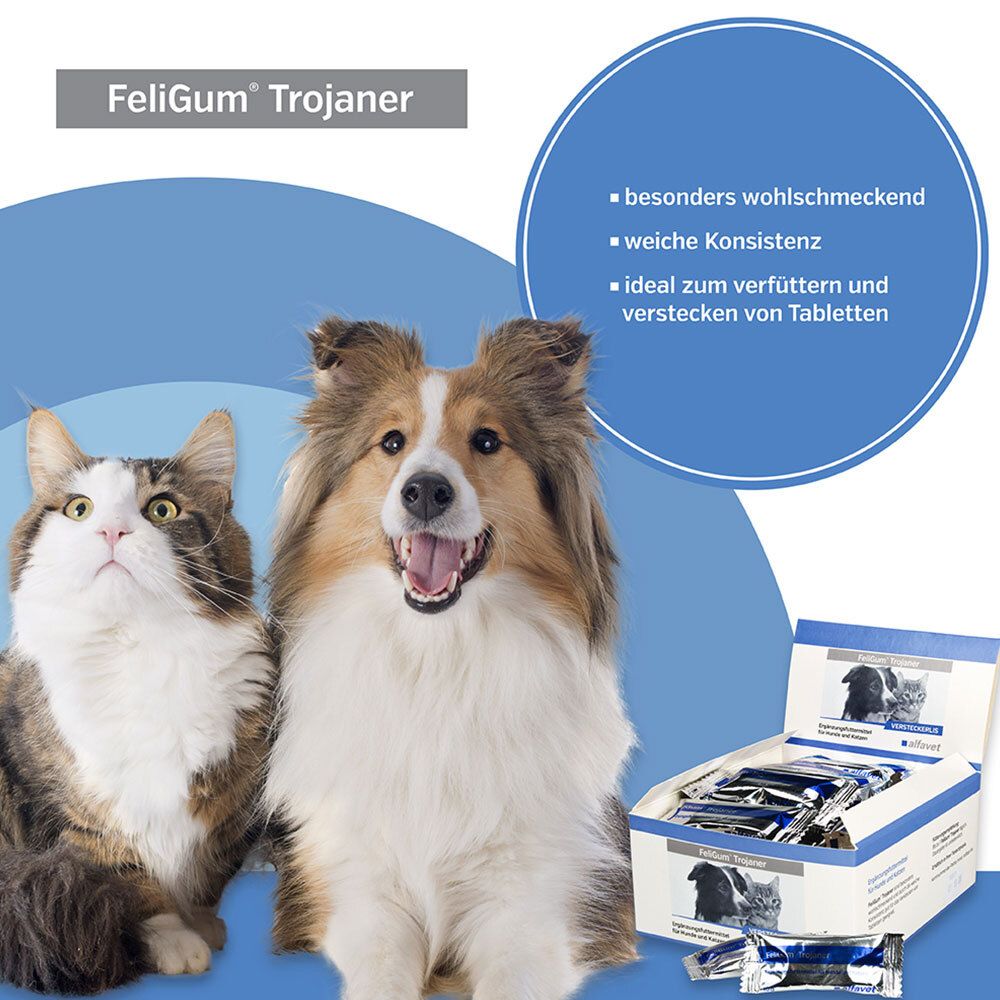 FeliGum Trojaner