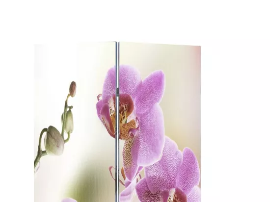 Cloison de séparation pliable 120 x 170 cm Fleur
