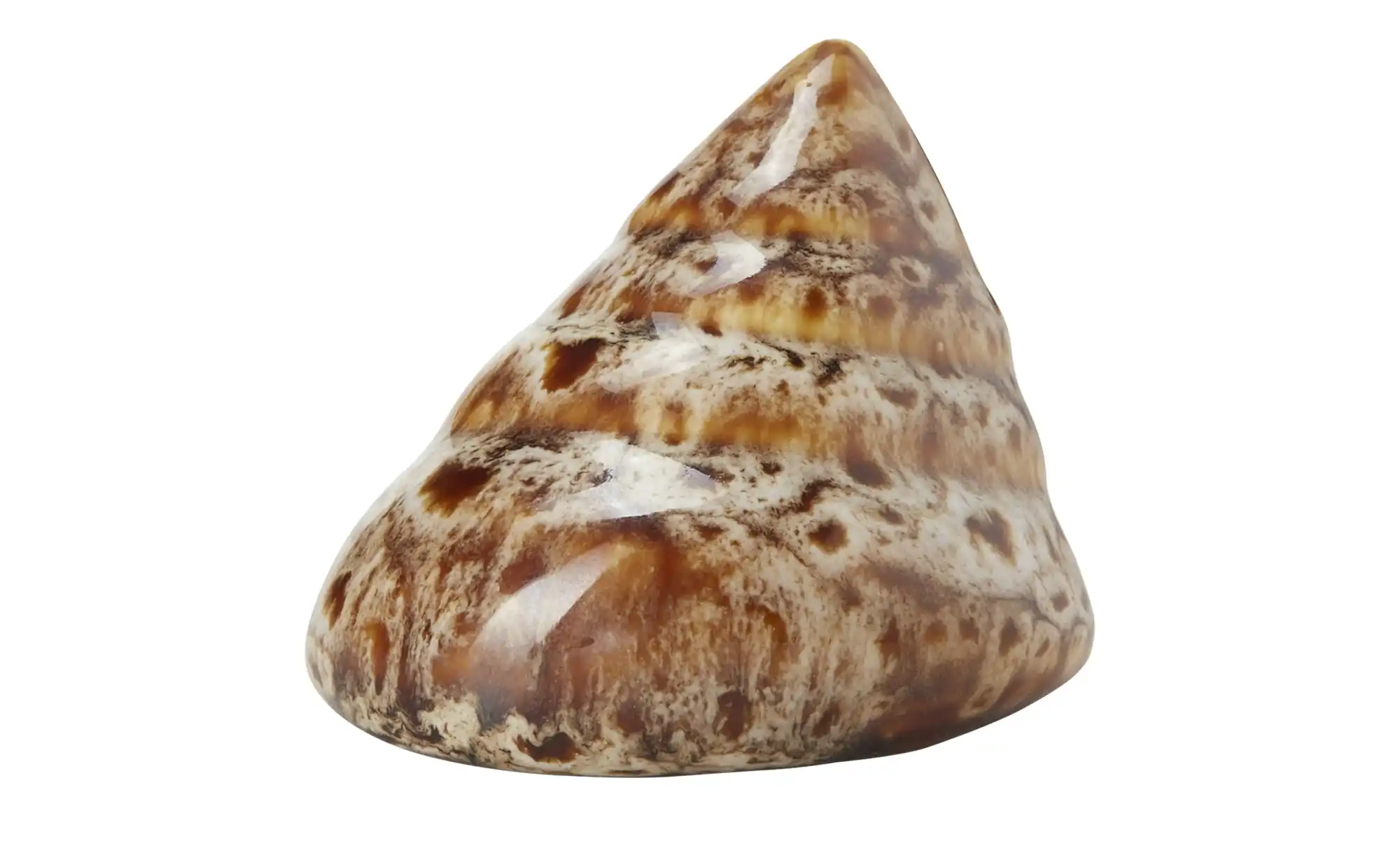 Deko Muscheln, sortiert