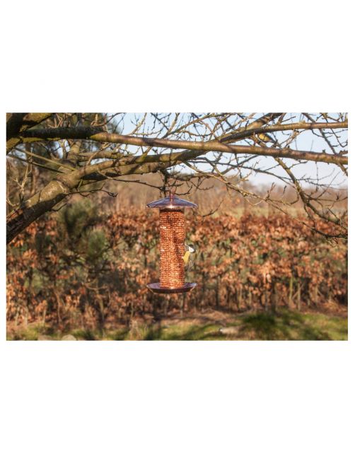 Best For Birds Notensilo - Voersilo - 16.5x16.5x30.5 cm