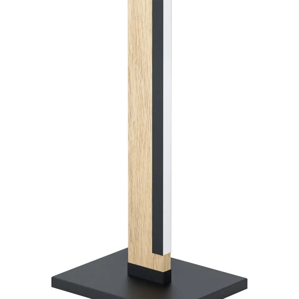 EGLOCamachoVloerlamp-LED-126cm-Zwart/Bruin-Dimbaar