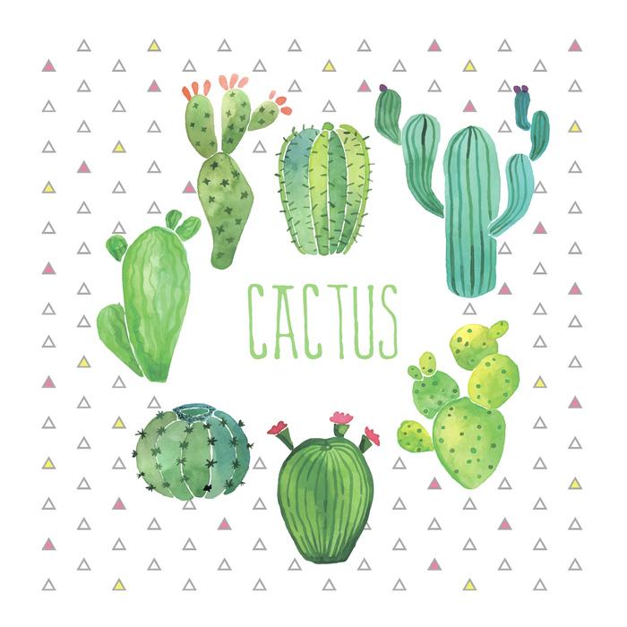 SET 20 SERVIETTES CACTUS 33X33CM